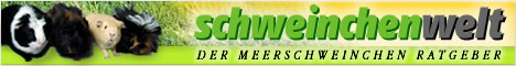 Meerschweinchen-Ratgeber