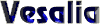 Vesalia Computer